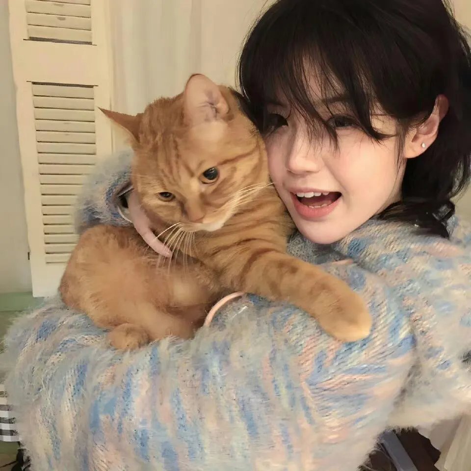 约会大作战第一季